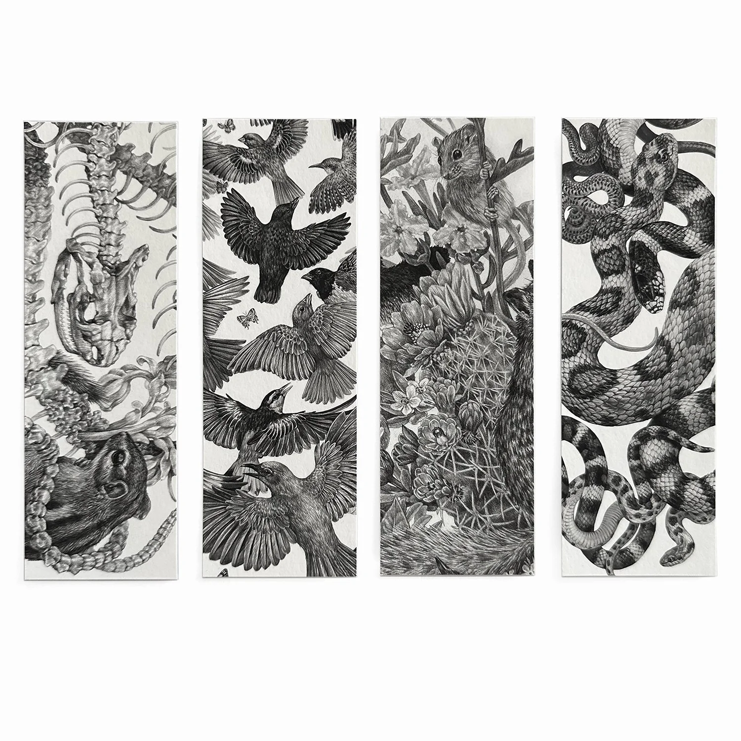 K*様 Zoe Keller 版画 Store — Zoe Keller Nature Art